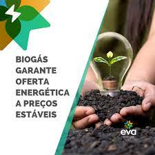 imagem_2022-06-14_150026693 imagem_2022-06-14_150026693